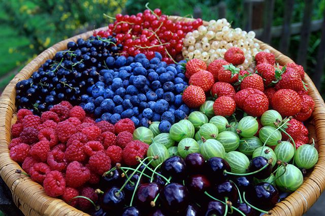 Экспорт ягод из Украины растет шестой год подряд – аналитики компании Pro-Consulting. КАПИТАЛ